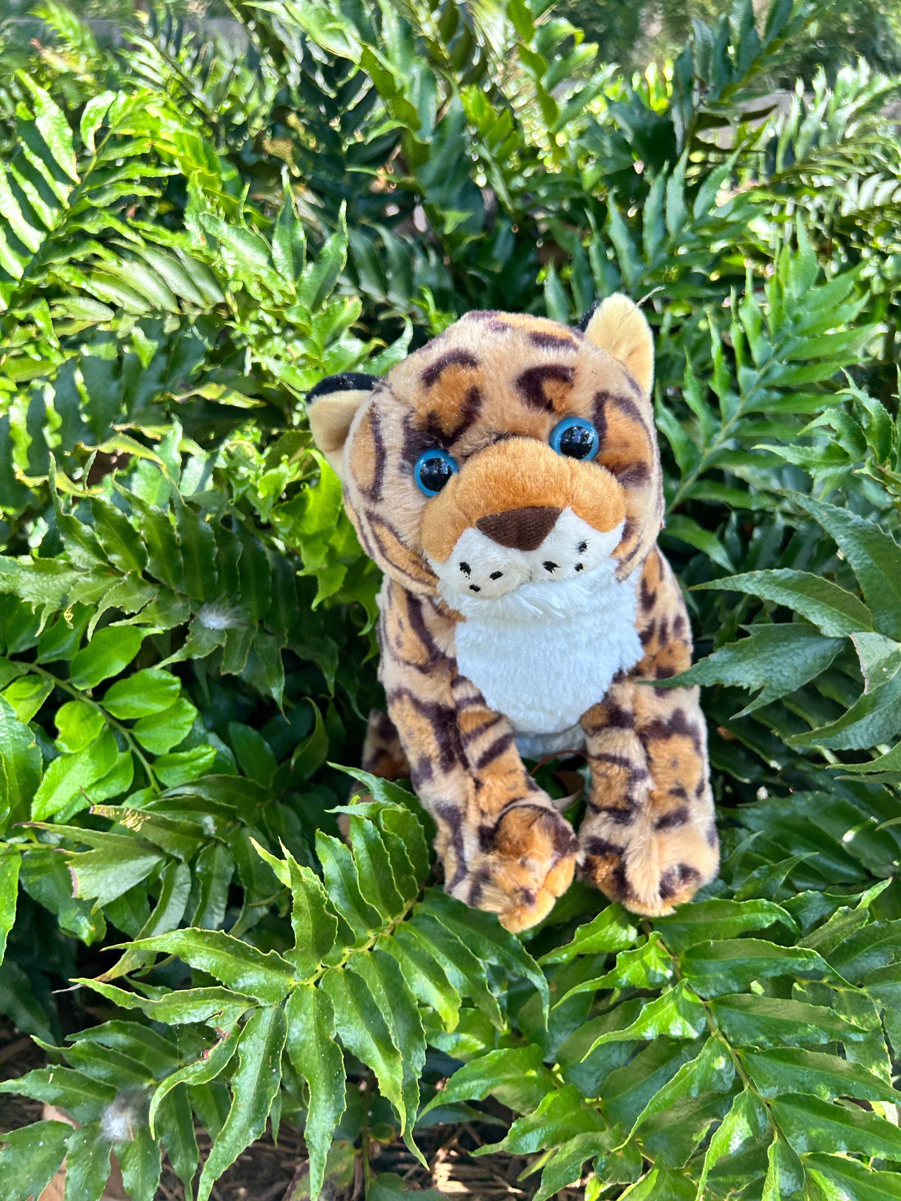 Jaguar Plush | San Antonio Zoo